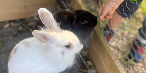 Familiedag og \u00e5pen (ute)kaf\u00e8 p\u00e5 Ullandhaug \u00f8kologiske g\u00e5rd