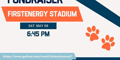 Game Night Fundraiser \u2013 Reading Fightin Phils vs. Somerset Patriots