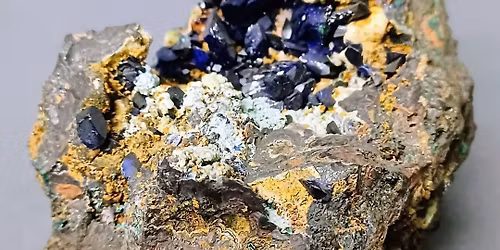 Mineral Auction