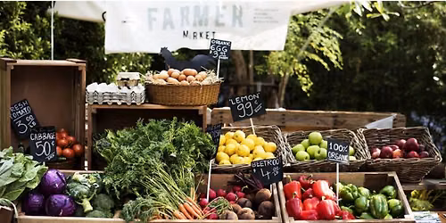 Regenerative Gardening for a Healthier Planet