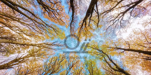 \u039a\u03a5\u03a1. 29\/03: \u039f\u03a1\u0395\u0399\u039d\u0397 \u03a7\u0391\u039b\u039a\u0399\u0394\u0399\u039a\u0397 \u0391\u03a0\u039f \u03a4\u0397 \u0392\u0391\u03a1\u0392\u0391\u03a1\u0391 \u03a3\u03a4\u039f \u039d\u0395\u039f\u03a7\u03a9\u03a1\u0399! 