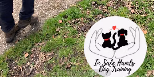 Mantrailing Introduction Workshop 