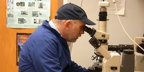 "Confessions of a Black Thumb \u2013 Plants That I Have Killed (Or Maimed): Badger Talk in Germantown, WI