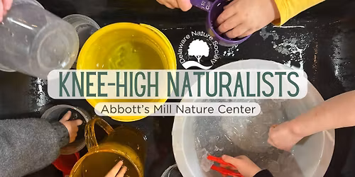 Knee-high Naturalists ~ Abbott's Mill