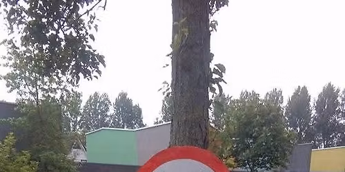 Grunn Goud Bands To Swing Festival. Line up. Huize Maas.