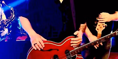 \u201cSTEELY BAND\u201d          The Garden Grill, Smithtown NY 7pm, Sat May 29!