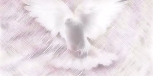 Heal with your Guides, Angels, and Teachers