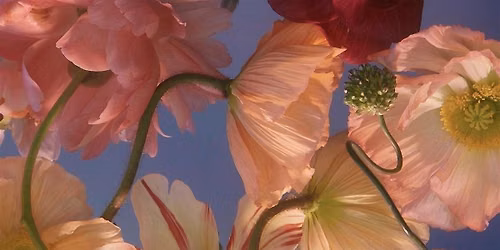 Santai in the Park (a flower bouquet arrangement class)