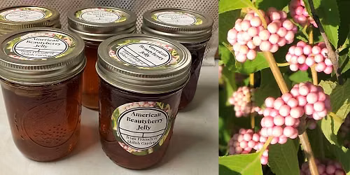 Cook Fresh:Eat Fresh! American beautyberry jelly class
