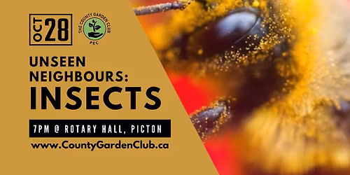 Insects: Our Unseen Neighbours