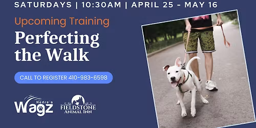 Dog Training Class: Perfecting the Walk