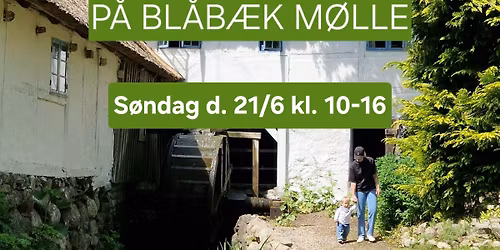 DANSK M\u00d8LLEDAG \ud83c\udf3b\ud83c\udf3e