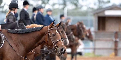 10th annual Kings County Fun Show !
