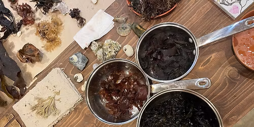 November Artist Toolbox Workshop: Natural Pigments & Dyes with Sophie Anna Gibbings