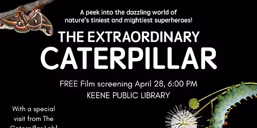 The Extraordinary Caterpillar - Film Screening