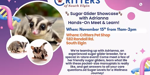 \ud83d\udc3e Sugar Glider Showcase with Adrianna \u2014 Hands-On Meet & Learn!