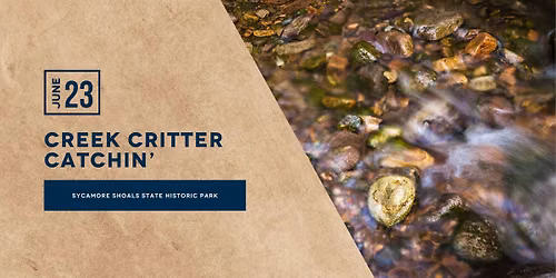 Creek Critter Catchin'