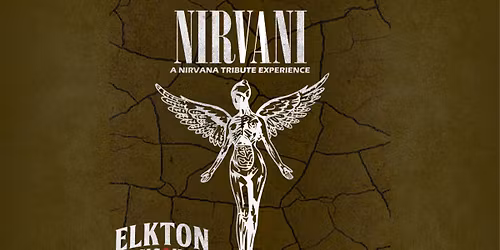 Nirvani - A Nirvana Tribute Experience
