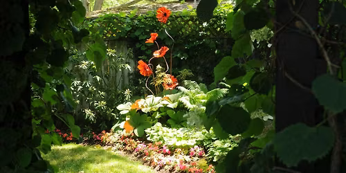 Ottawa Hills Neighborhood Garden Tour