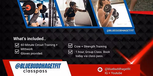 Pop Up Boxing + Circuit Training