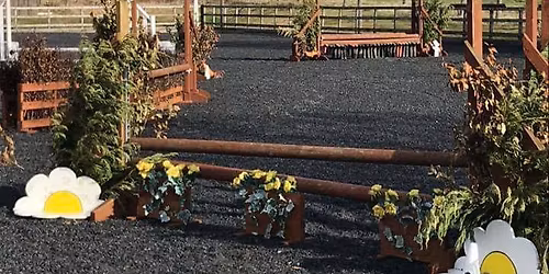 Fillers & Foliage Jumping Clinic at Inchcoonans Equestrian