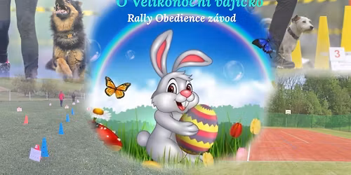 "O Velikono\u010dn\u00ed vaj\u00ed\u010dko" z\u00e1vod Rally Obedience