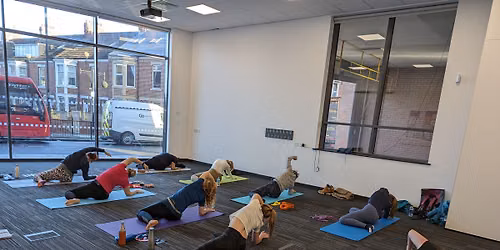 Pilates - Build Your Strength
