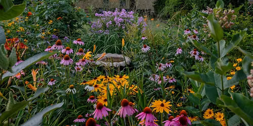 Thomas-Anderson Garden Tour and Rock Painting