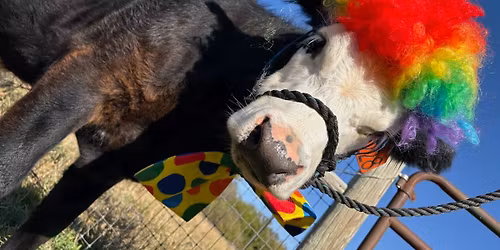 Fontenelle Forest Star Gazing @ Fontenelle Forest