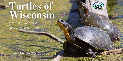 Turtles of Wisconsin