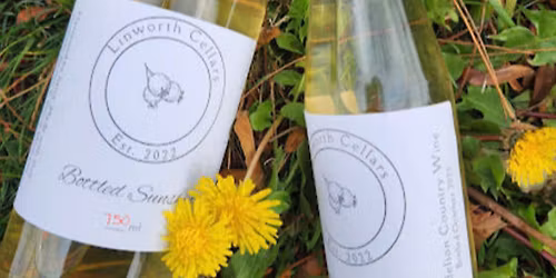 Dandelion Wine Workshop (4\/20\/24)