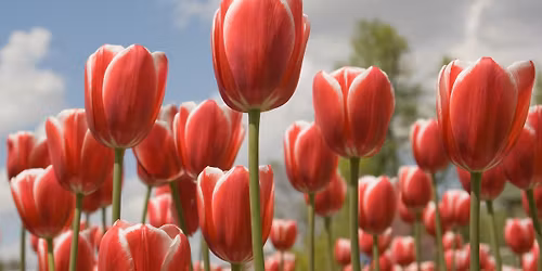 Children's Enrichment Program - Children ages 8-11