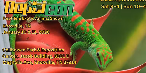 Repticon Knoxville