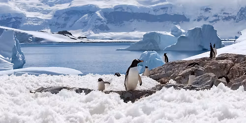 2026 Antarctica with Seabourn Cruise
