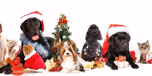 Howl-iday Party and Photos with Santa Paws