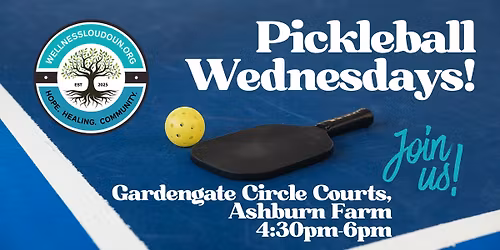 Pickleball Wednesdays with Wellness Loudoun!