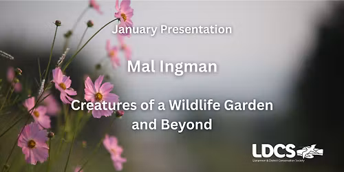 January Talk - Creatures of a Wildlife Garden and Beyond
