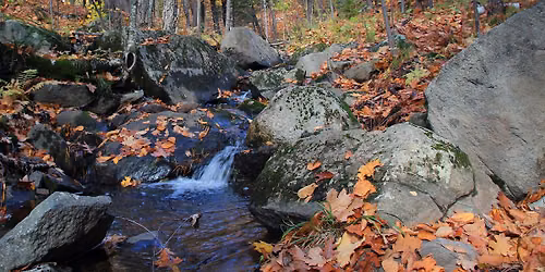 Celebration of Magney-Snively Natural Area- St. Louis County, MN