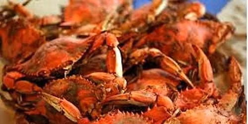 Blue Crabs & Beer Feast  - Sumter Original Brewery