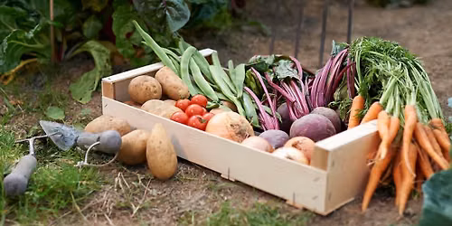 Best home grown produce