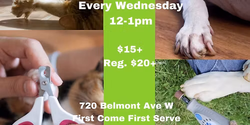 Walk In Nail Trim Clinic