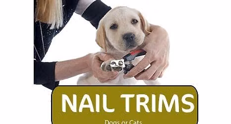 Dog and Cat Nail Trims