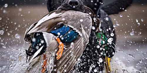 Merrymeeting Bay Ducks Unlimited Annual Dinner