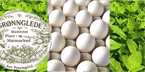 GR\u00d8NNGLEDE stuttreist plante og matmarked