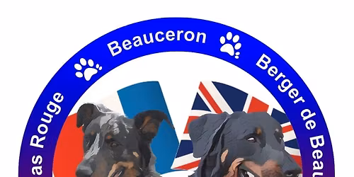 Annual General Meeting