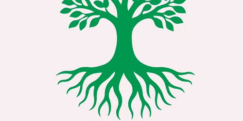 Soak It All In: The Art of Watering for Stronger Roots