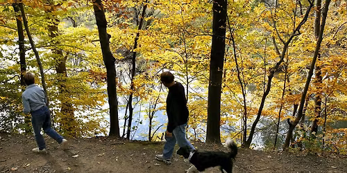 Neighborhood Jawnts Tour Series: Lower Bustleton \/ Castor Gardens