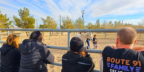 The STABLE Series: Equine Therapy Exercises & Arena EMDR