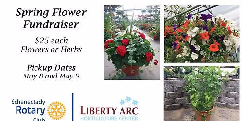 Schenectady Rotary Annual Spring Flower Sale: PRESALES ONLY