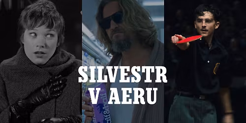 Silvestr v Aeru